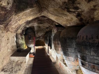 Valencia Half-Day Wine Tour, a private tour in Valencia