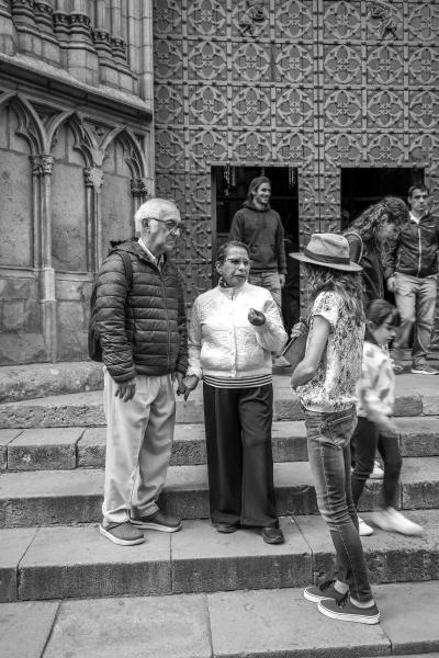 Gothic Quarter and El Born Tour: History and Architecture, a private tour in Barcelona
