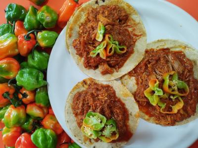 Local Tacos & History Tour: in the Heart of Mexico City, a private tour in Mexico City