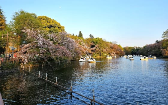 Inokashira Park in Musashino, Tokyo
