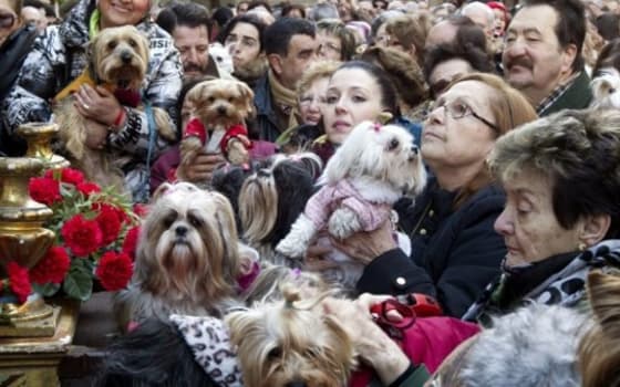 Vueltas de San Antón in Chueca, Madrid
