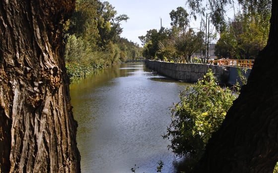 Canal Nacional, Hike in Centro Histórico, Mexico City