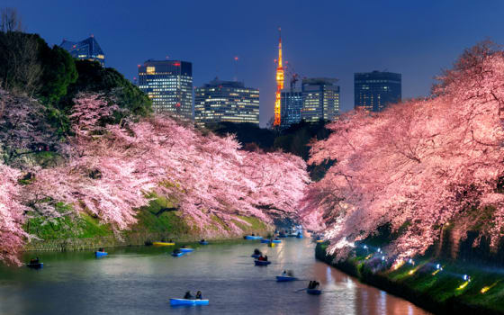Chidorigafuchi Moat, Park in Chiyoda-ku, Tokyo
