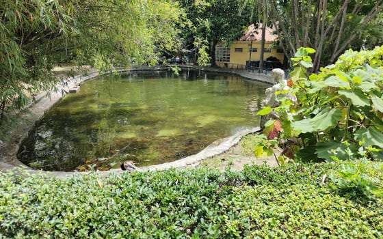 Jardim da Estrela, Park in Lisbon