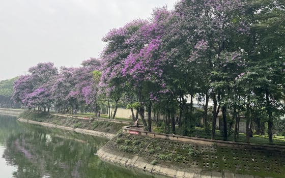 Công Viên Nghĩa Đô (Nghia Do Park) in Cầu Giấy, Hanoi