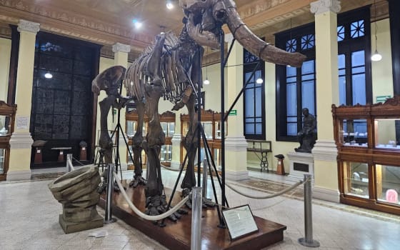 Museum of Geology UNAM in Santa María la Ribera, Mexico City