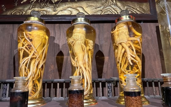 Museum of Traditional Vietnamese Medicine in District 10, Ho Chi Minh City