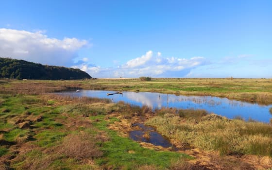 Douro Estuary, Park in Vila Nova de Gaia, Porto