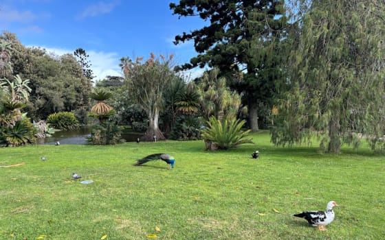 Jardim Botânico Tropical, Park in Belém, Lisbon