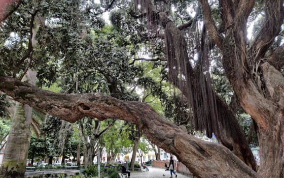 Jardim da Parada, Park in Campo de Ourique, Lisbon