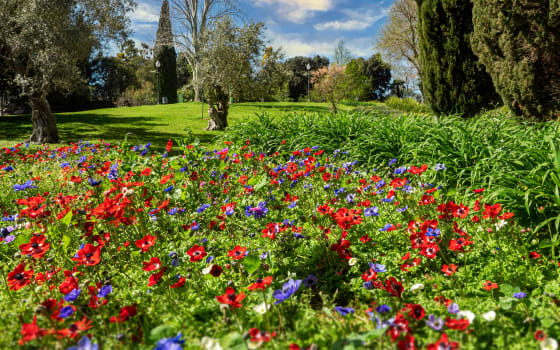Jardins de Mossèn Cinto Verdaguer, Park in Montjuïc, Barcelona