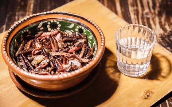 Mezcalería Conejo en la Luna, Bar in Del Valle, Mexico City