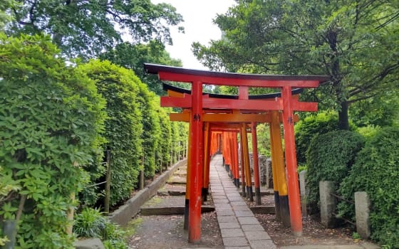 Nezu Shrine, Religious Site in Nezu, Tokyo