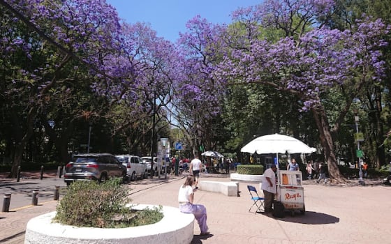 Parque México, Park in La Condesa, Mexico City