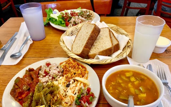 Yug Vegetariano, Restaurant in Juárez, Mexico City