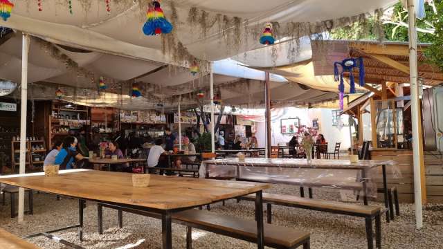 La Cosecha Oaxaca