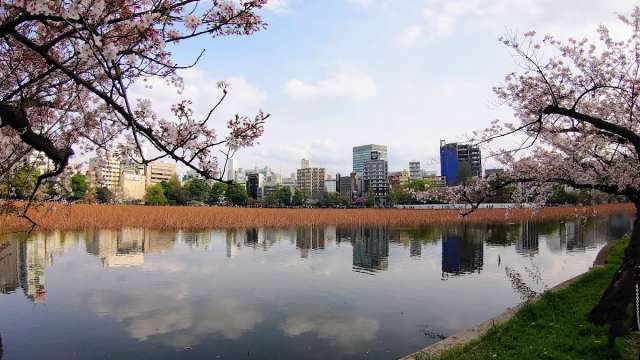 Ueno Park