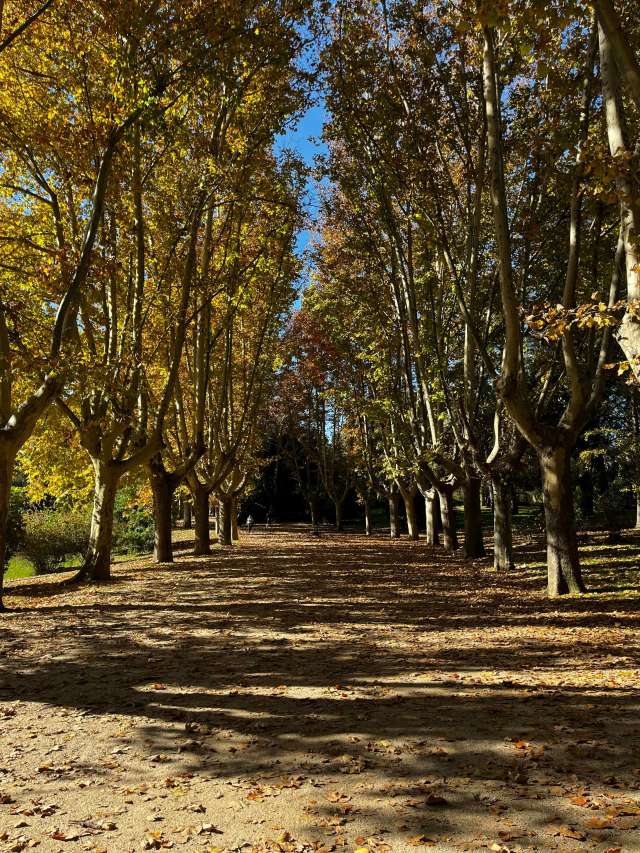 Parque del Oeste