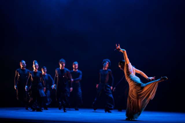 Bienal de Flamenco