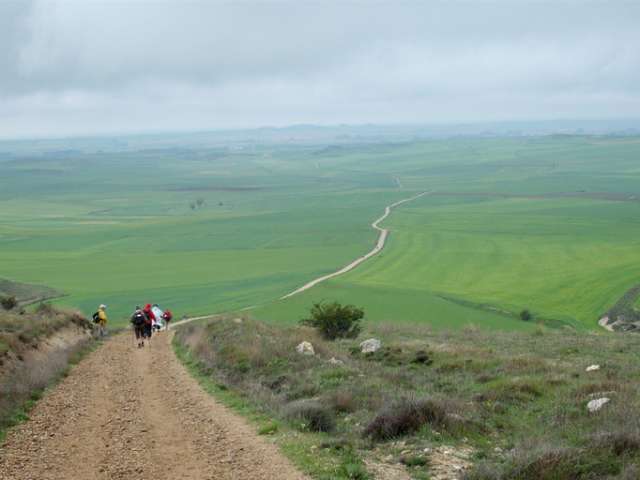 Camino de Santiago de Compostela