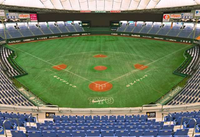Yomiuri Giants Game at the Tokyo Dome
