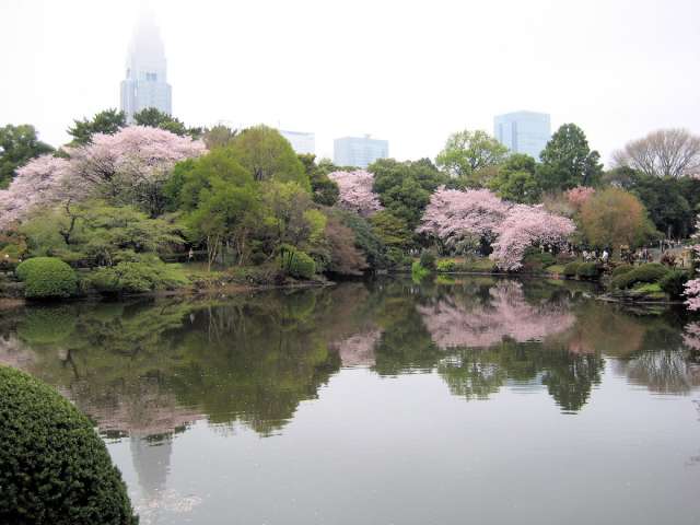 Shinjuku Gyoen Park