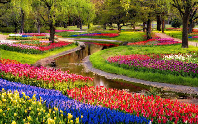 Flower Valley
