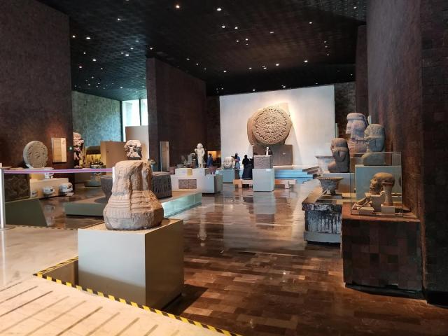 Private Anthropology Museum Tour (3 Hours)