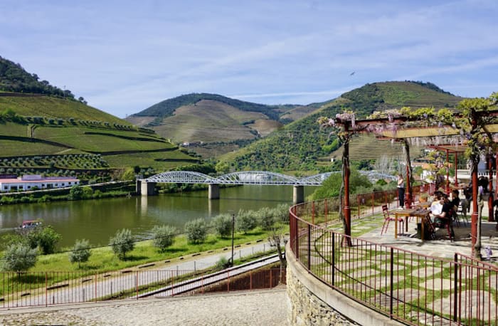 Douro Valley Vineyards