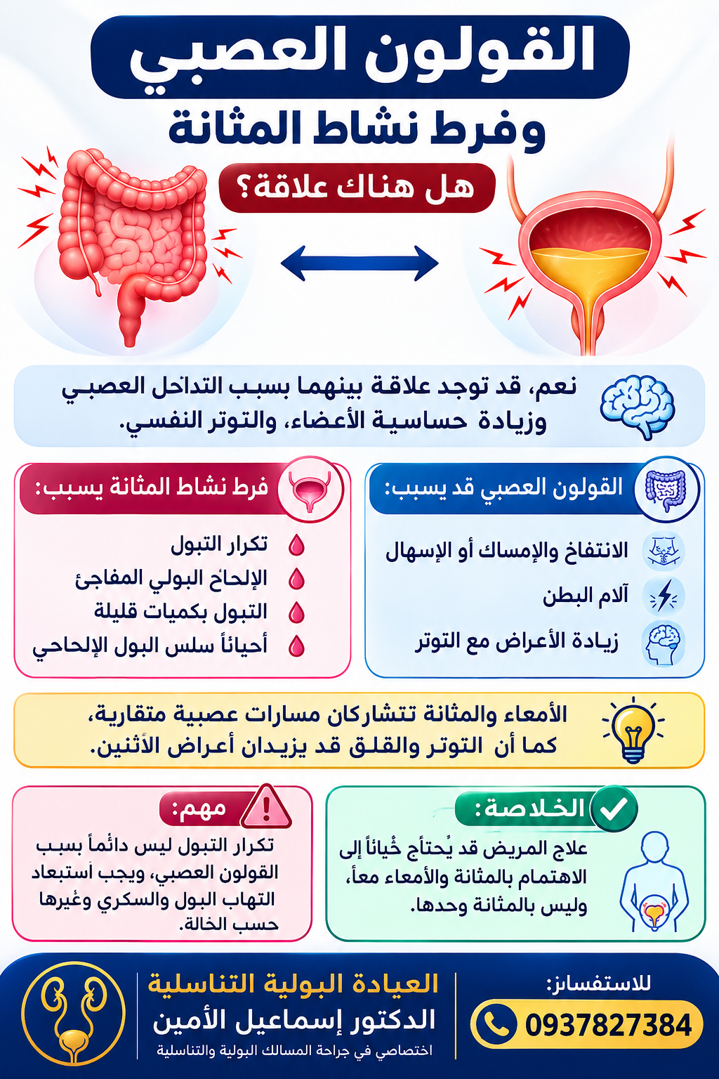 صورة 2