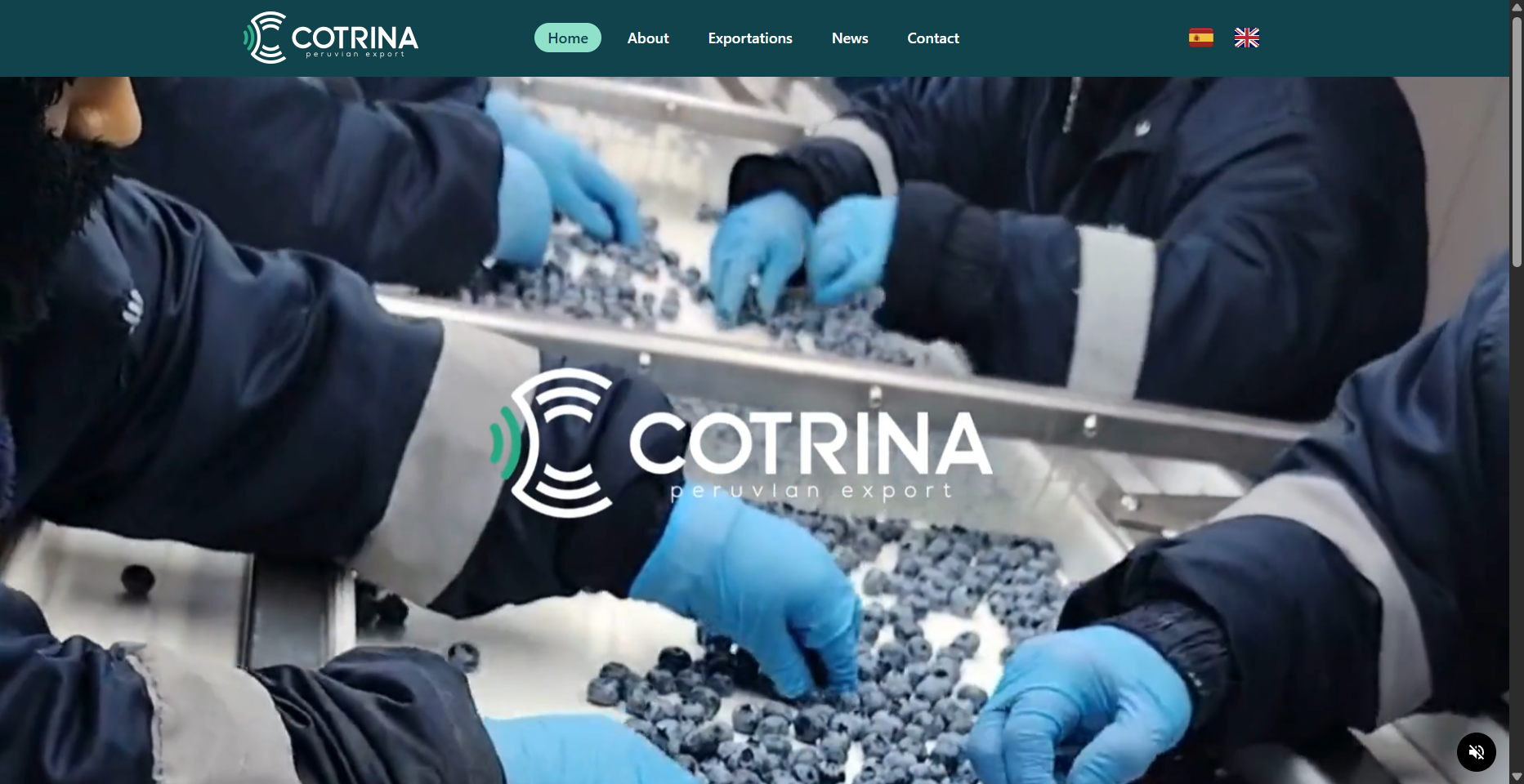 Cotrina Exports