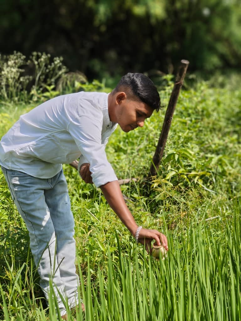 Nabanna Harvest