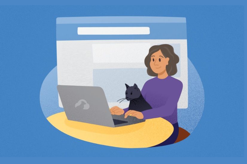 Top Citation Sites for Pet Services