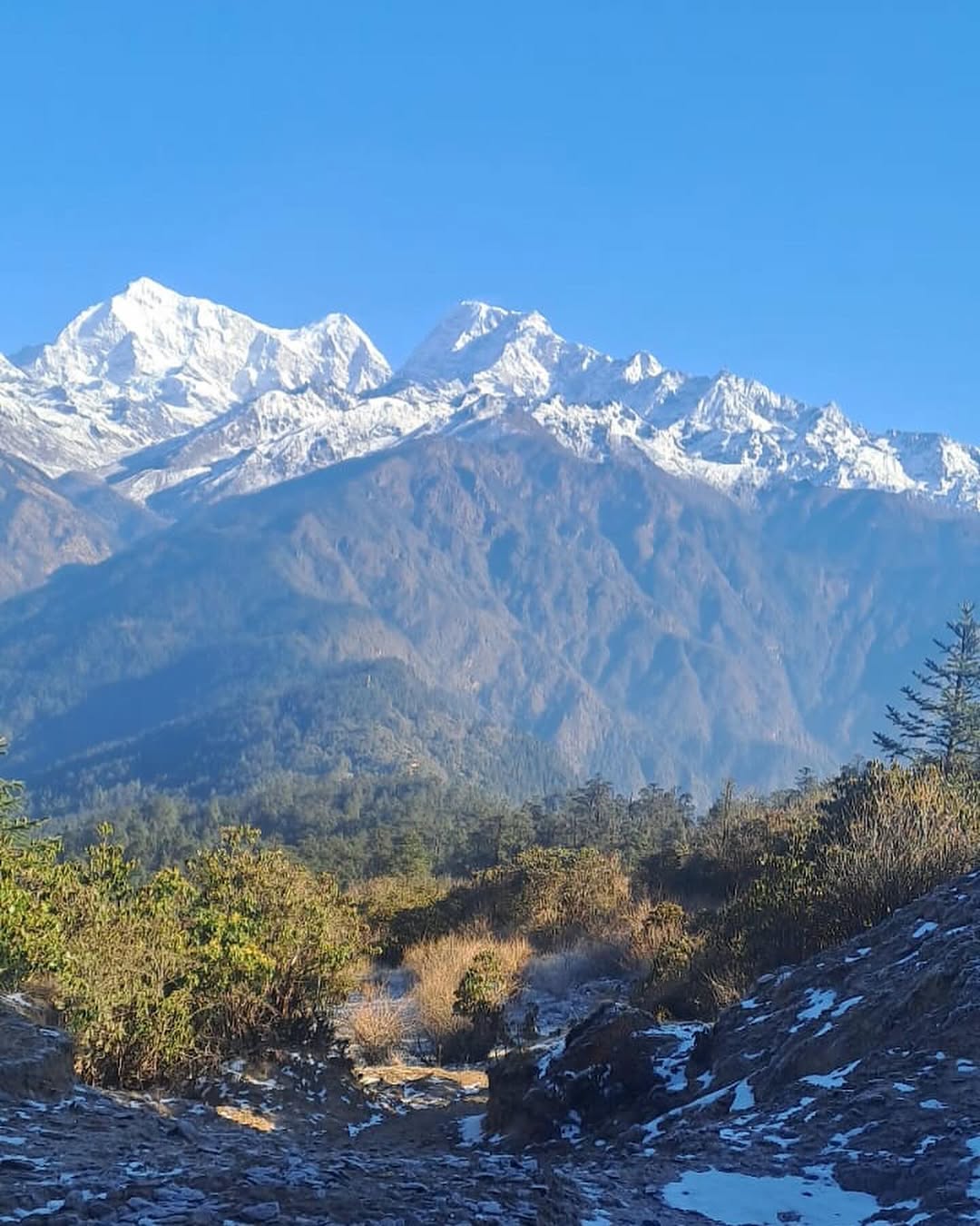 Info Nepal Tours and Trek