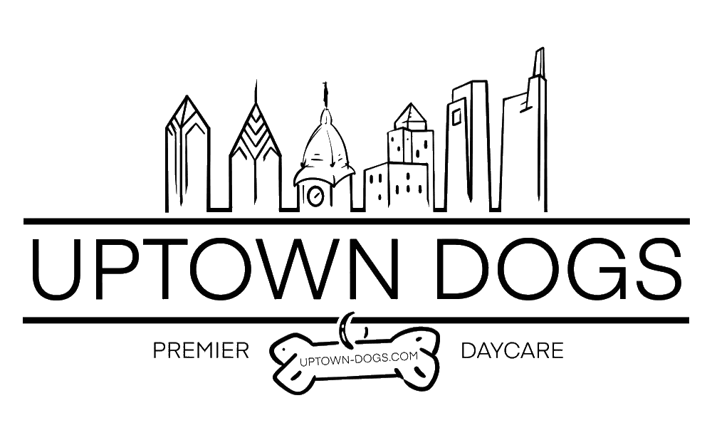 Uptown Dogs