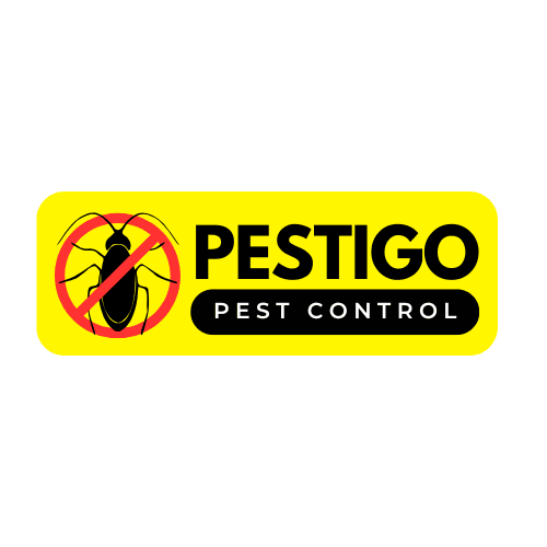 Pestigo