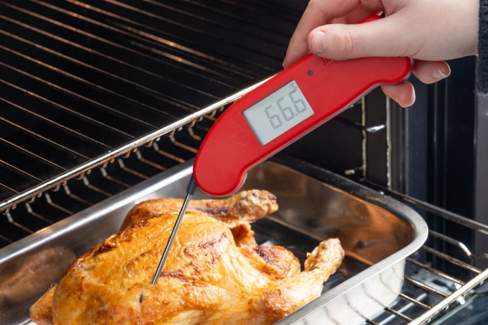 What Is the Temperature Danger Zone for Food