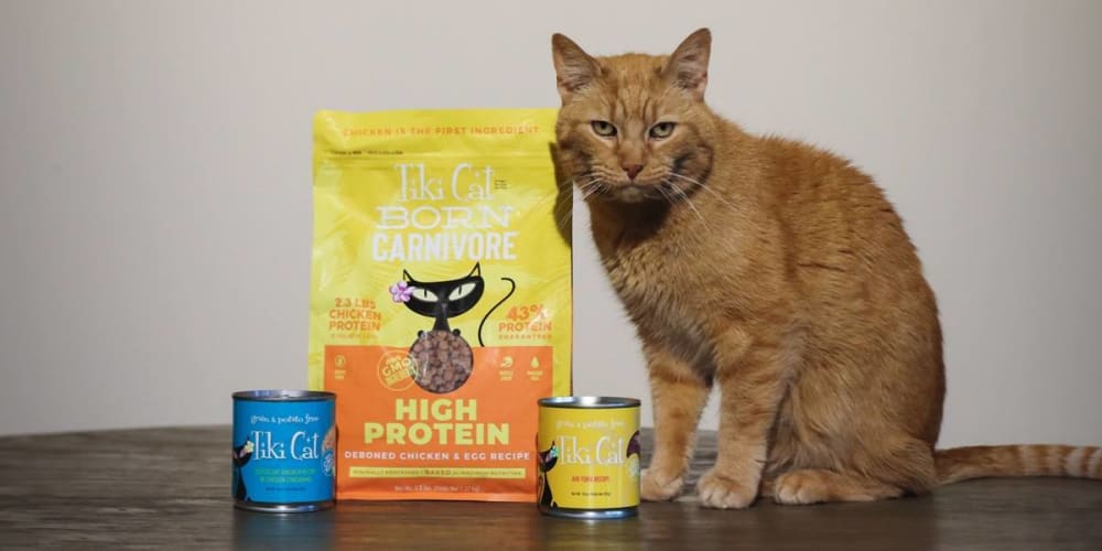 Is Tiki Cat Food Good