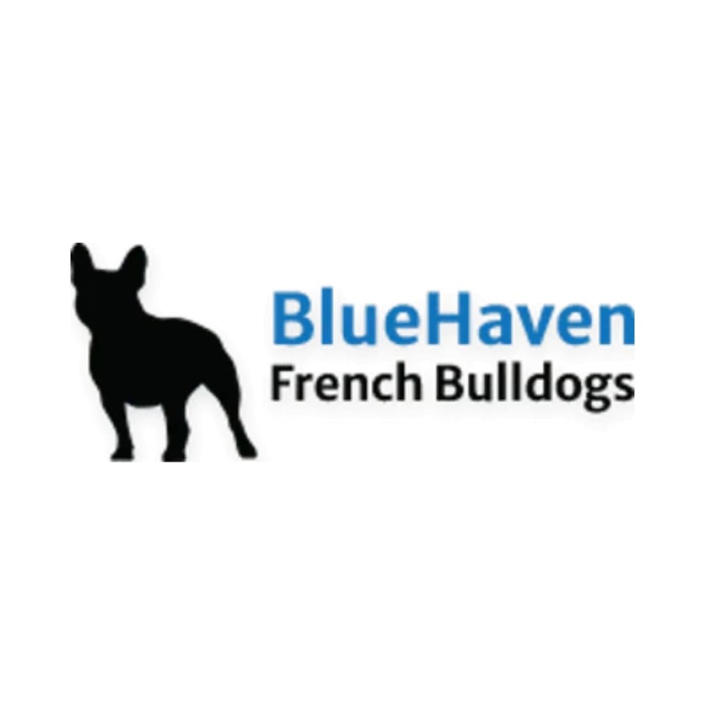 Bluehaven French Bulldogs