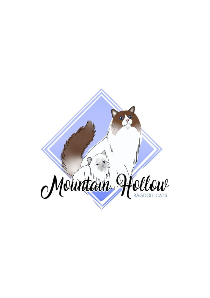 Mountain Hollow Ragdolls Registered Cats and Kittens logo