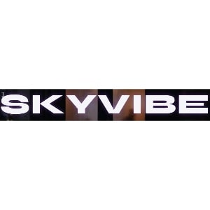 Skyvibe Restaurant and Lounge logo
