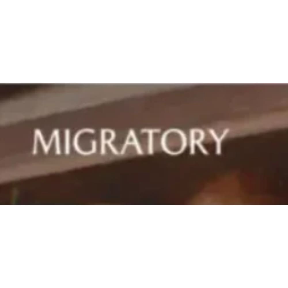 Migratory Story