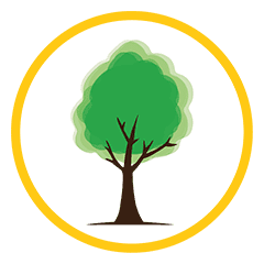 Nottingham Tree Surgeons