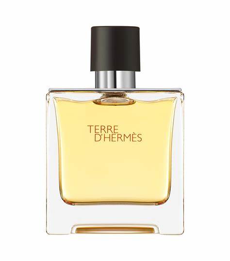 Terre Hermes