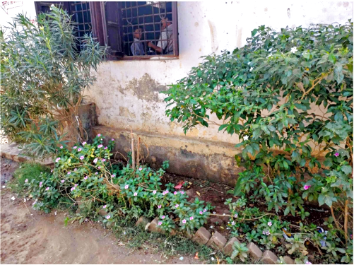 हिरवा कॅम्पस