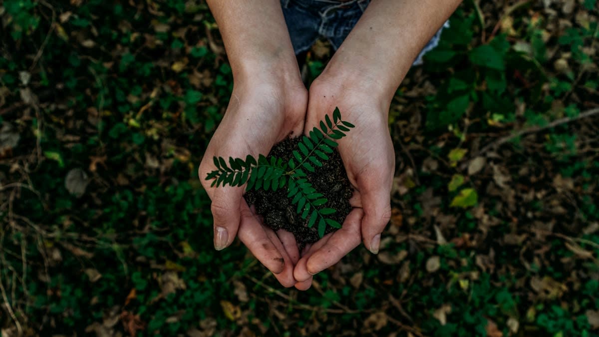 Sustainable Employee Welcome Packs: Eco-Friendly Options That Don't Compromise