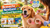 Bravecto vs NexGard vs NexGard Spectra: Best Tick & Flea Treatment for Dogs in Pakistan (2026)