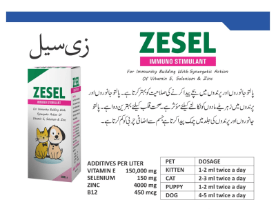 Zesel Immuno Stimulant