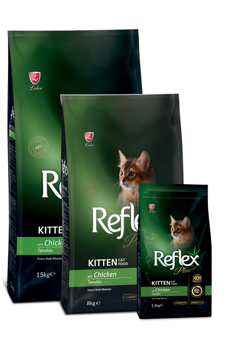Reflex Plus Kitten