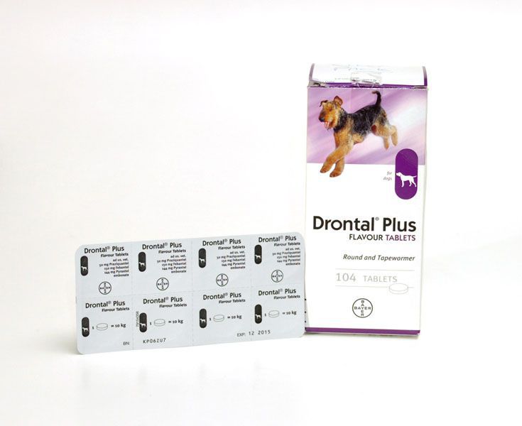 Drontal Dog Tablet